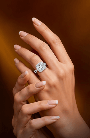 Discover New Collection