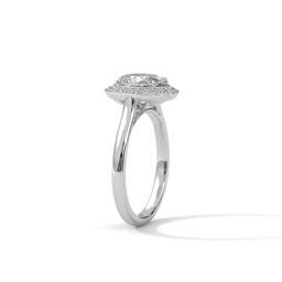 Oval Halo Splendor