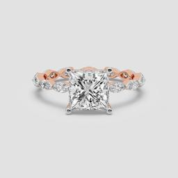 Princess Aurora Gleam